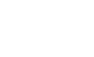 SaaS Development