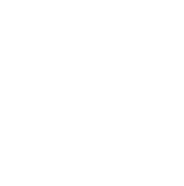 UI/UX Design